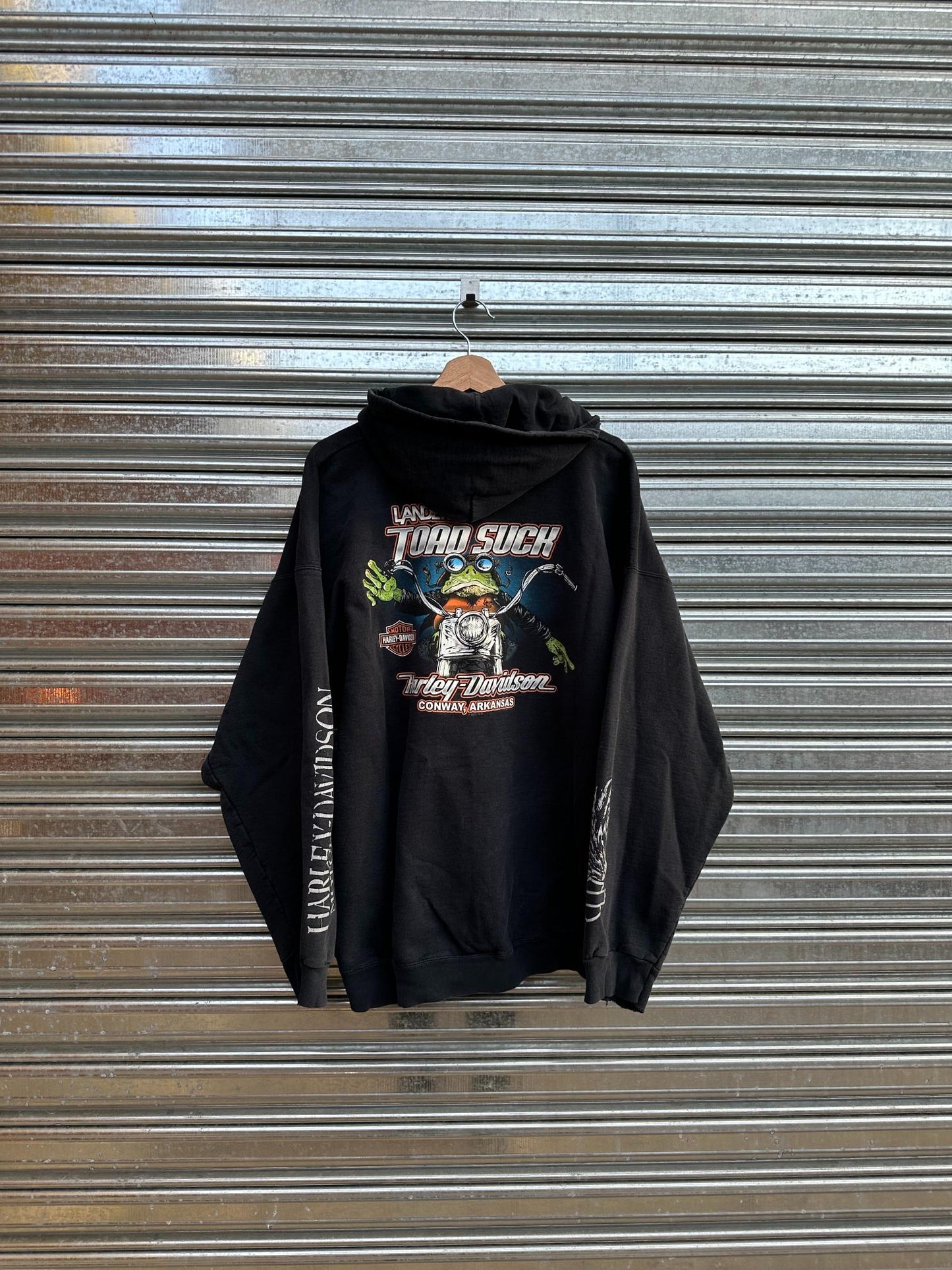 (XL) Campera Harley Davidson 2012 "Wings / Frog"
