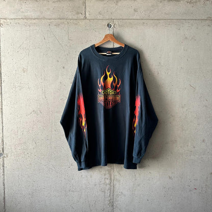 Remera Harley Davidson Longsleeve "Fire / Balas Dragons Eagle"