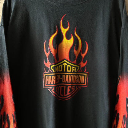 Remera Harley Davidson Longsleeve "Fire / Balas Dragons Eagle"