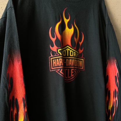 Remera Harley Davidson Longsleeve "Fire / Balas Dragons Eagle"