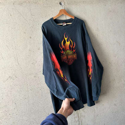 Remera Harley Davidson Longsleeve "Fire / Balas Dragons Eagle"